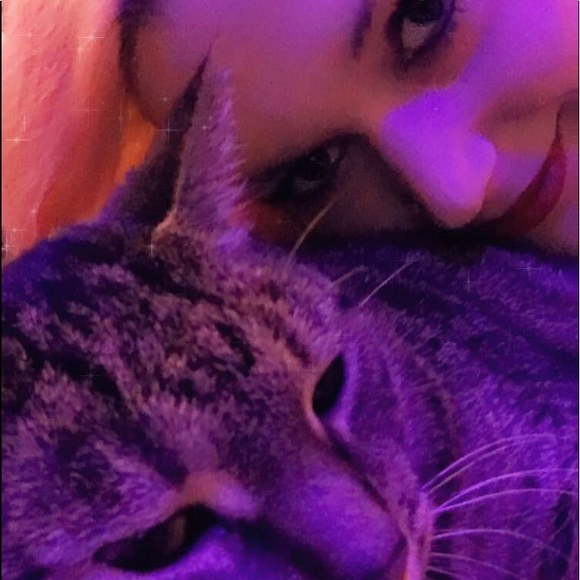 Meet your Posher, Harley.Cosplayer and animal ❤️er - Picture 4 of 8